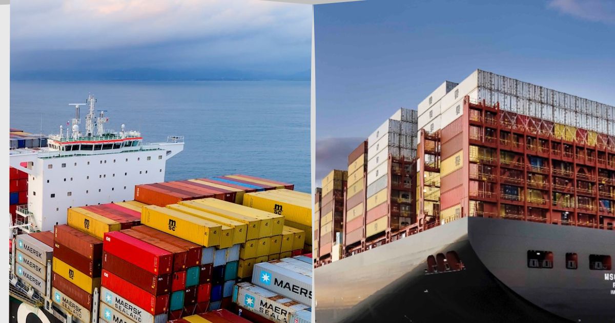Top 10 hãng tàu container lớn nhất thế giới (cập nhật 2025)